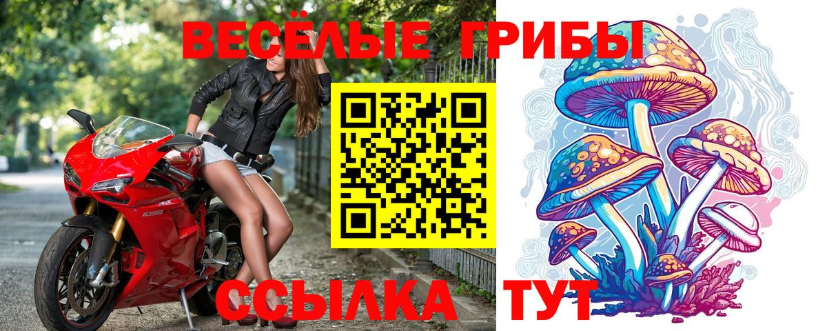 Галлюциногенные грибы Cubensis Вольск