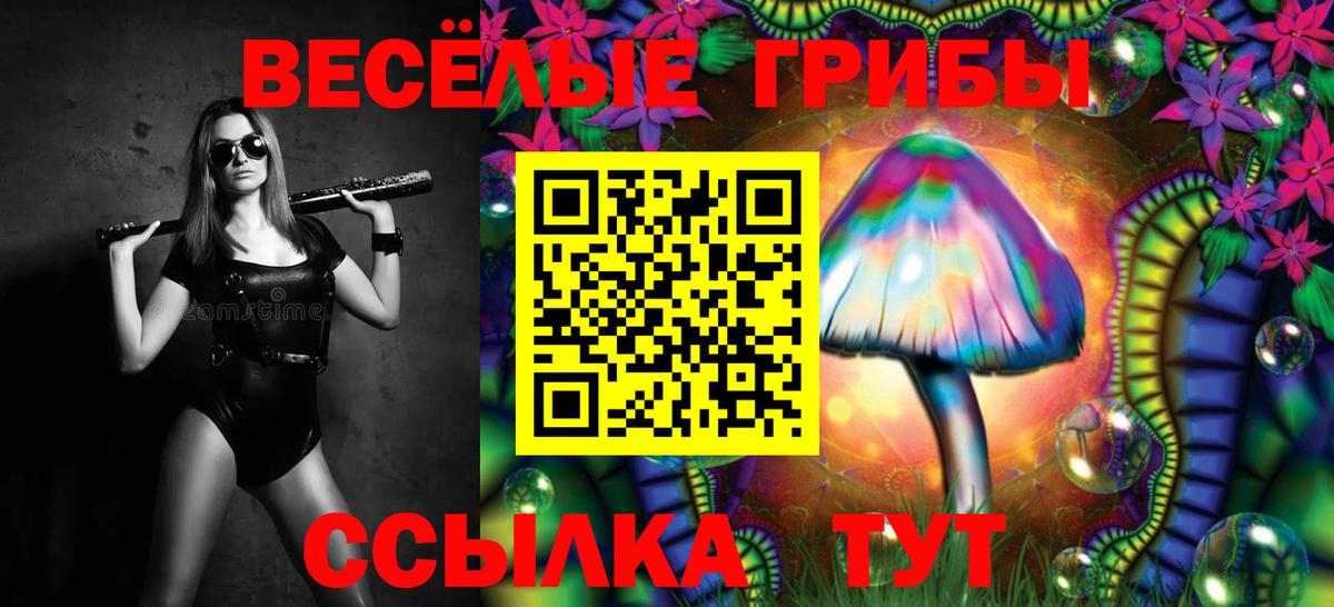 Псилоцибиновые грибы MAGIC MUSHROOMS  Вход с VPN  Вольск 